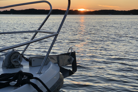 202507-Bild Input Juli