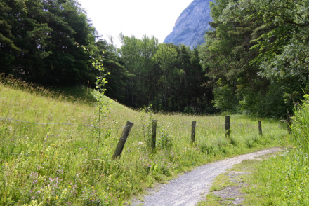 Weg
